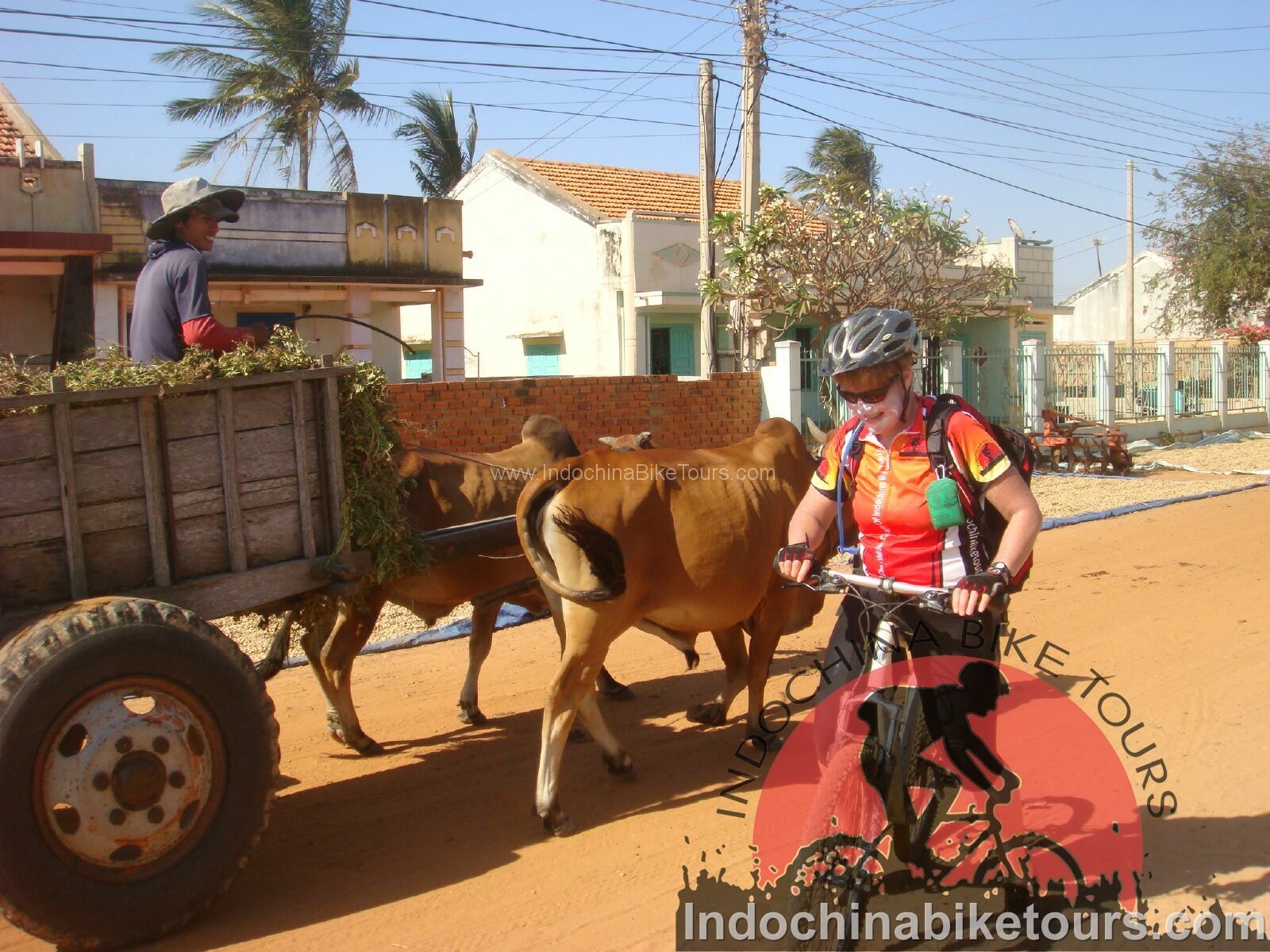 5 days Phnom Penh Cycling To Sihanoukville