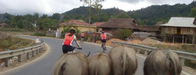 1 Day Angkor Temple Adventure Cycle Tour