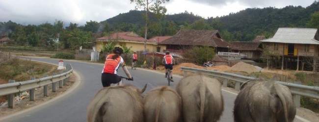 Angkor Temple Adventure Cycle Tour- 1 Day