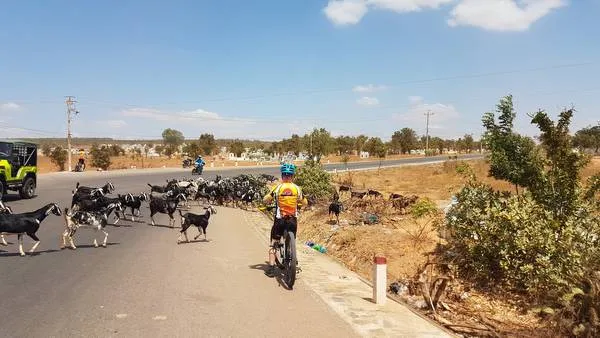 Phnom Penh Cycling To Angkor – 2 days 3
