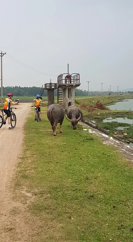 Siem Reap Cycling To Saigon - 9 Days 3